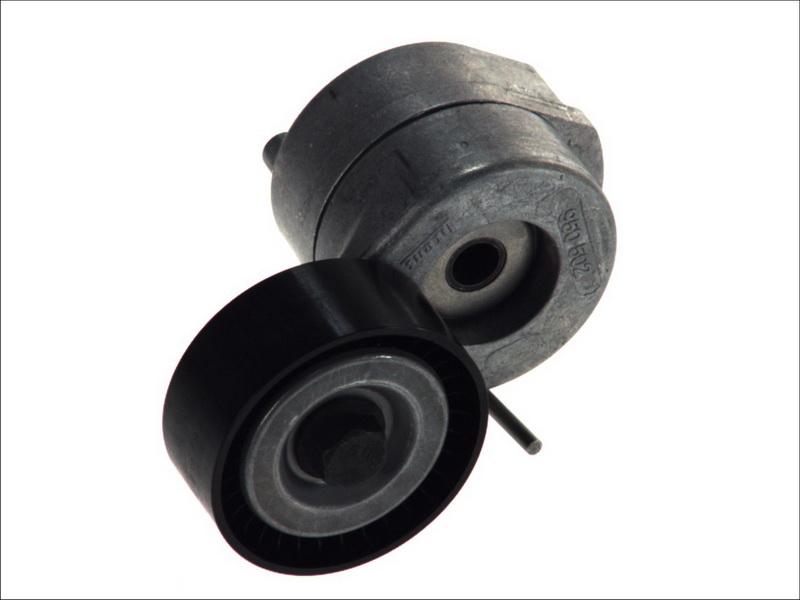 INA 534 0053 10 - Натяжитель, поликлиновый ремень abcparts.ee