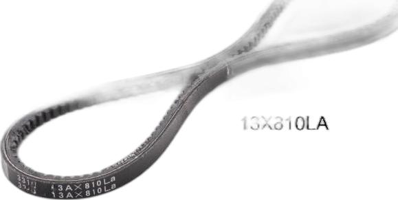 Japko 13X810 - Клиновой ремень, поперечные рёбра abcparts.ee