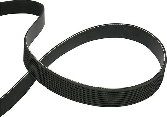 Kavo Parts DMV-9114 - Поликлиновой ремень abcparts.ee