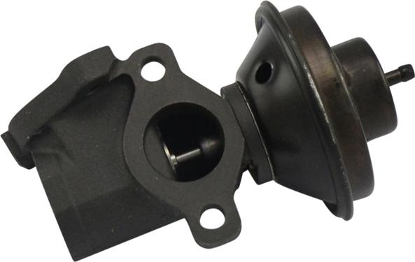 Kavo Parts EEG-7503 - Клапан возврата ОГ abcparts.ee