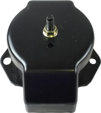 Kavo Parts EEM-5536 - Подушка, опора, подвеска двигателя abcparts.ee