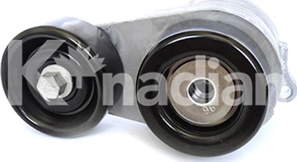 K'nadian 90369 - Натяжитель, поликлиновый ремень abcparts.ee