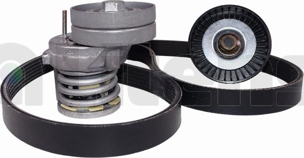 Litens LV950447A - Поликлиновый ременный комплект abcparts.ee