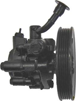 Lizarte 04.17.0180 - Гидравлический насос, рулевое управление, ГУР abcparts.ee