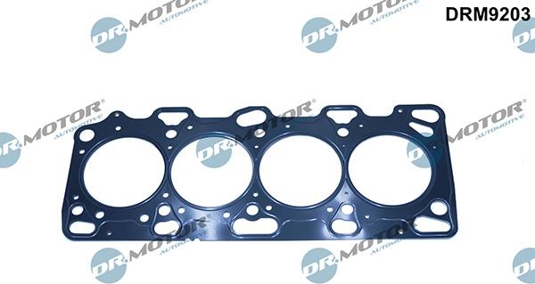 Lizarte DRM9203 - Прокладка, головка цилиндра abcparts.ee