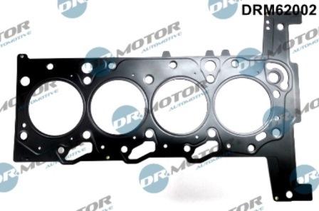 Lizarte DRM62002 - Прокладка, головка цилиндра abcparts.ee