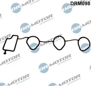 Lizarte DRM098 - Прокладка, впускной коллектор abcparts.ee
