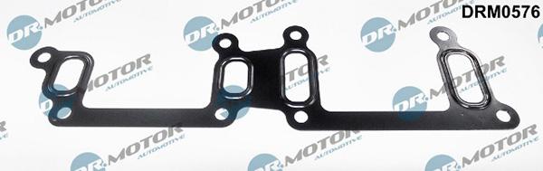 Lizarte DRM0576 - Прокладка, трубка охлаждающей жидкости abcparts.ee