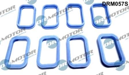 Lizarte DRM057S - Комплект прокладок, впускной коллектор abcparts.ee