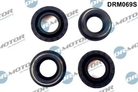 Lizarte DRM069S - Уплотнительное кольцо, шахта свечи abcparts.ee