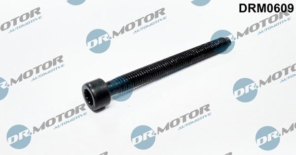Lizarte DRM0609 - Болт, крепление форсунки abcparts.ee