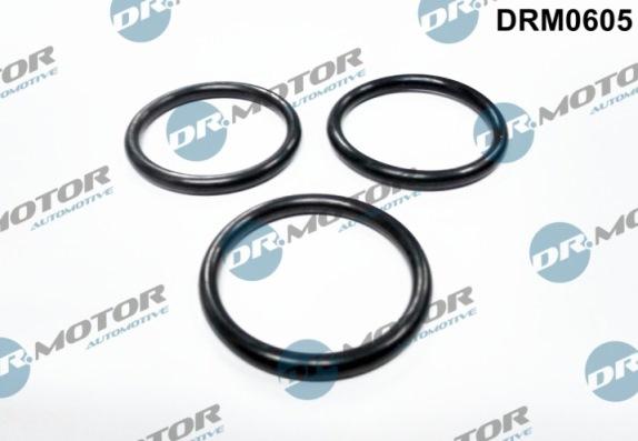 Lizarte DRM0605 - Прокладка, водяной насос abcparts.ee