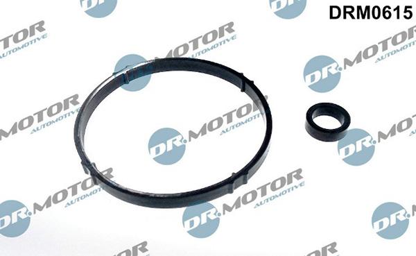 Lizarte DRM0615 - Комплект прокладок, масляный радиатор abcparts.ee