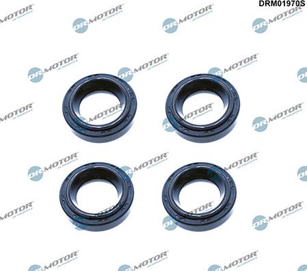 Lizarte DRM01970S - Уплотнительное кольцо, шахта свечи abcparts.ee