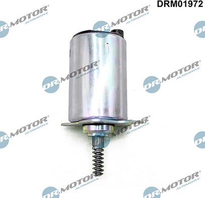 Lizarte DRM01972 - Регулирующий клапан, выставление распределительного вала abcparts.ee