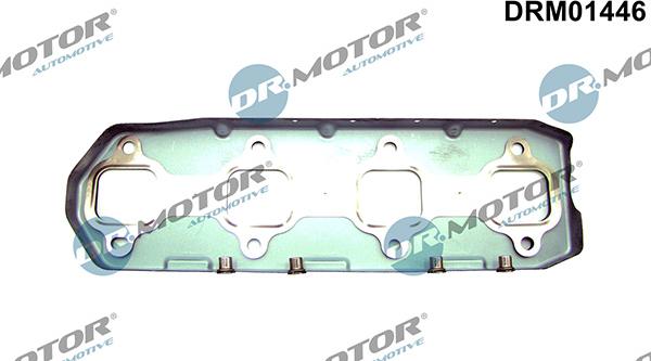 Lizarte DRM01446 - Прокладка, выпускной коллектор abcparts.ee