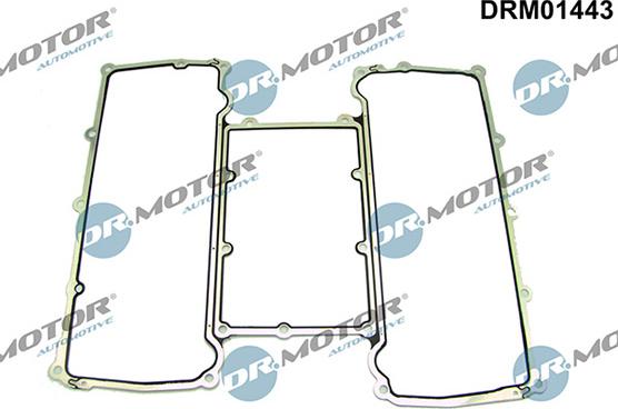 Lizarte DRM01443 - Прокладка, впускной коллектор abcparts.ee