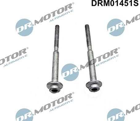 Lizarte DRM01451S - Болт, крепление форсунки abcparts.ee