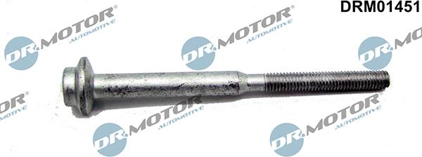 Lizarte DRM01451 - Болт, крепление форсунки abcparts.ee