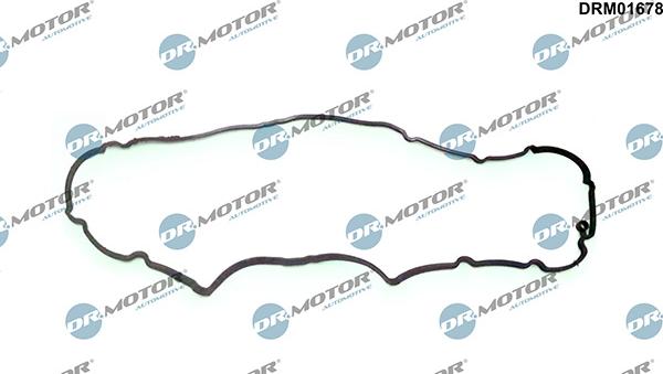 Lizarte DRM01678 - Прокладка, крышка головки цилиндра abcparts.ee
