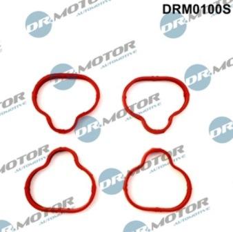 Lizarte DRM0100S - Комплект прокладок, впускной коллектор abcparts.ee
