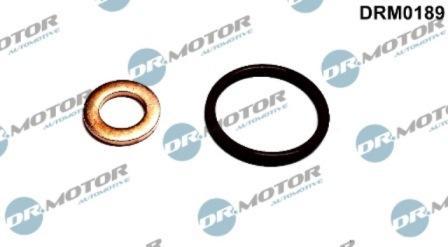 Lizarte DRM0189 - Комплект прокладок, форсунка abcparts.ee