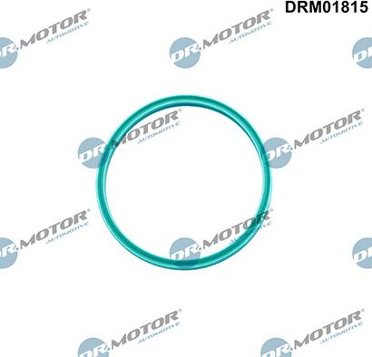 Lizarte DRM01815 - Уплотнительное кольцо, трубка нагнетаемого воздуха abcparts.ee
