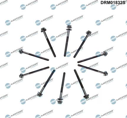 Lizarte DRM01832S - Комплект болтов головки цилиндра abcparts.ee