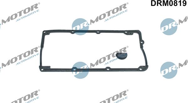 Lizarte DRM0819 - Прокладка, крышка головки цилиндра abcparts.ee