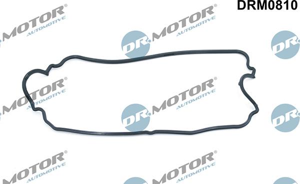 Lizarte DRM0810 - Прокладка, крышка головки цилиндра abcparts.ee