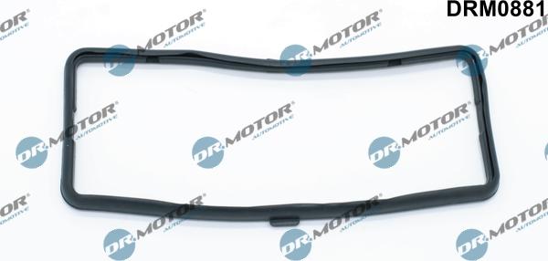 Lizarte DRM0881 - Прокладка, крышка головки цилиндра abcparts.ee