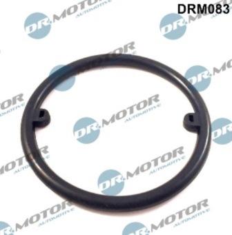 Lizarte DRM083 - Прокладка, масляный радиатор abcparts.ee