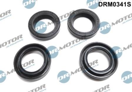 Lizarte DRM0341S - Шайба тепловой защиты, инжектор abcparts.ee