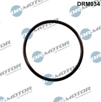 Lizarte DRM034 - Прокладка, впускной коллектор abcparts.ee