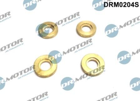 Lizarte DRM0204S - Комплект прокладок, форсунка abcparts.ee
