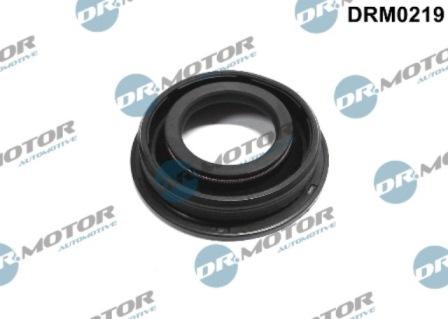 Lizarte DRM0219 - Шайба тепловой защиты, инжектор abcparts.ee