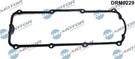 Lizarte DRM0229 - Прокладка, крышка головки цилиндра abcparts.ee