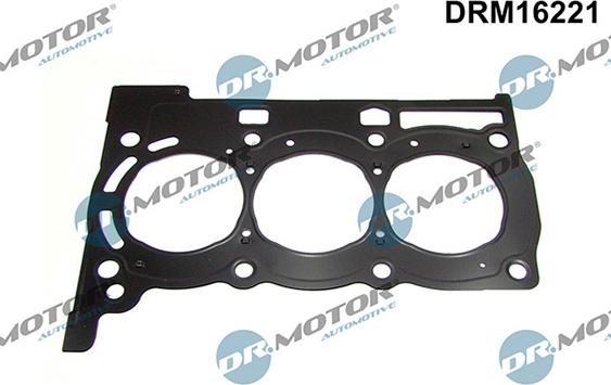 Lizarte DRM16221 - Прокладка, головка цилиндра abcparts.ee