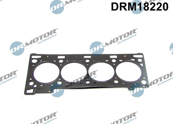 Lizarte DRM18220 - Прокладка, головка цилиндра abcparts.ee