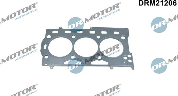 Lizarte DRM21206 - Прокладка, головка цилиндра abcparts.ee