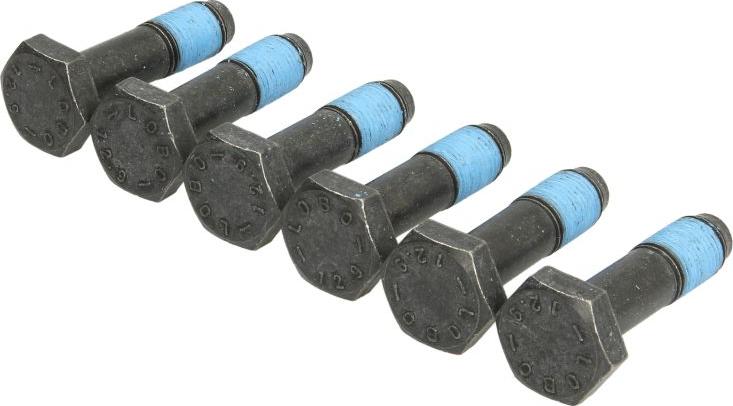 LUK 411 0239 10 - Комплект болтов, маховик abcparts.ee