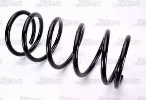 Magnum Technology SF066 - Пружина ходовой части abcparts.ee