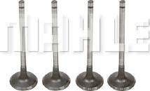 MAHLE VA0441701 - Впускной клапан abcparts.ee