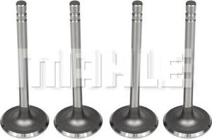 MAHLE VA0140104 - Впускной клапан abcparts.ee