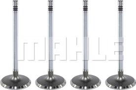 MAHLE VA0141396 - Впускной клапан abcparts.ee