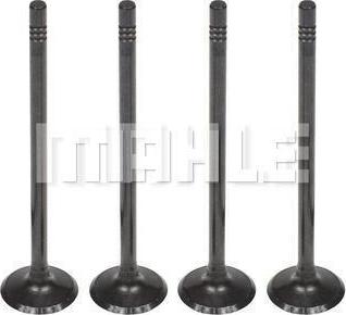 MAHLE VA0181606 - Впускной клапан abcparts.ee