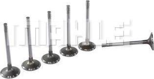 MAHLE VA0130101 - Впускной клапан abcparts.ee