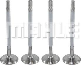 MAHLE VA0250166 - Впускной клапан abcparts.ee
