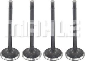 MAHLE VA0701421 - Впускной клапан abcparts.ee