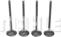 MAHLE VA1951571 - Впускной клапан abcparts.ee